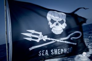 sea shepeard logojpg