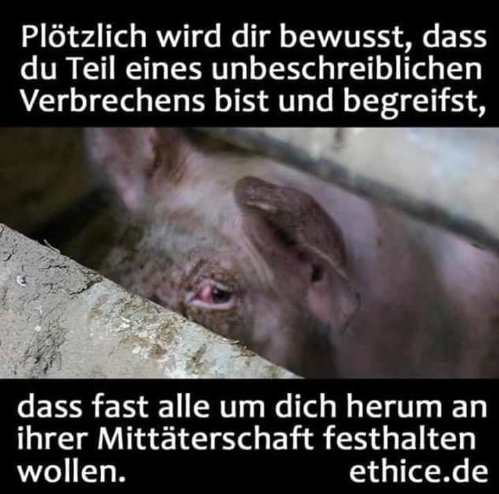 Zitat über Mittäterschaftn