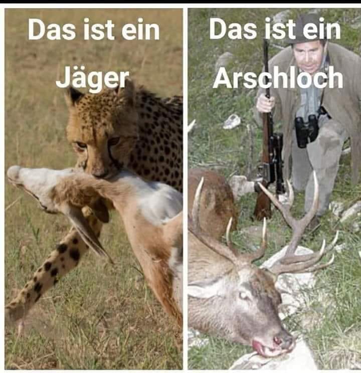 das ist ein Jäger das ist ein Arschloch pg