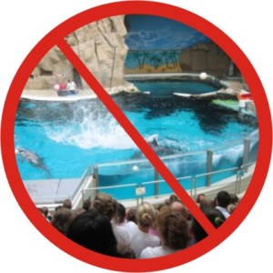 delfinarium verbot verbot