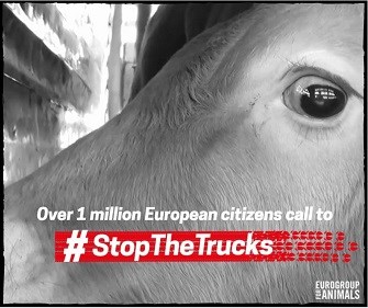 end the cage age 3pg