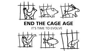 end the cage age