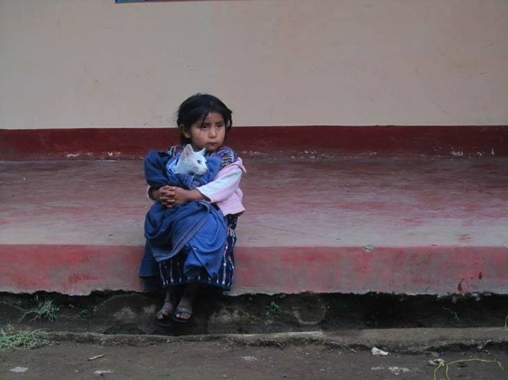 Kleines Mädchen mit Katze_n