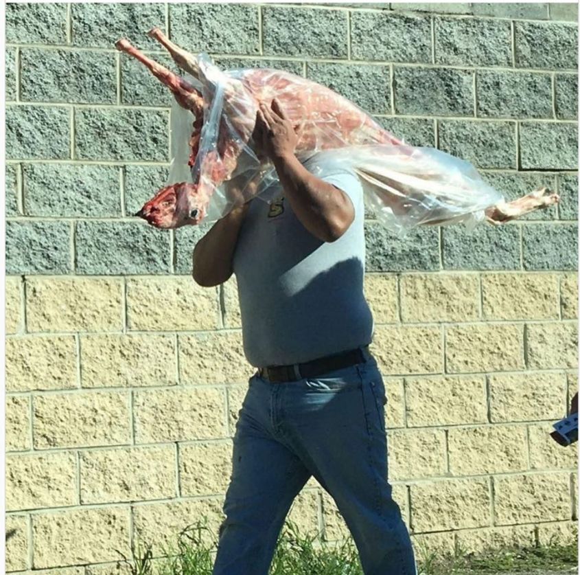 man mit totem Schaf am Schulter o