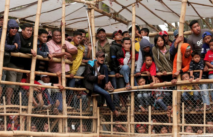 mob in Arena indonesienpg