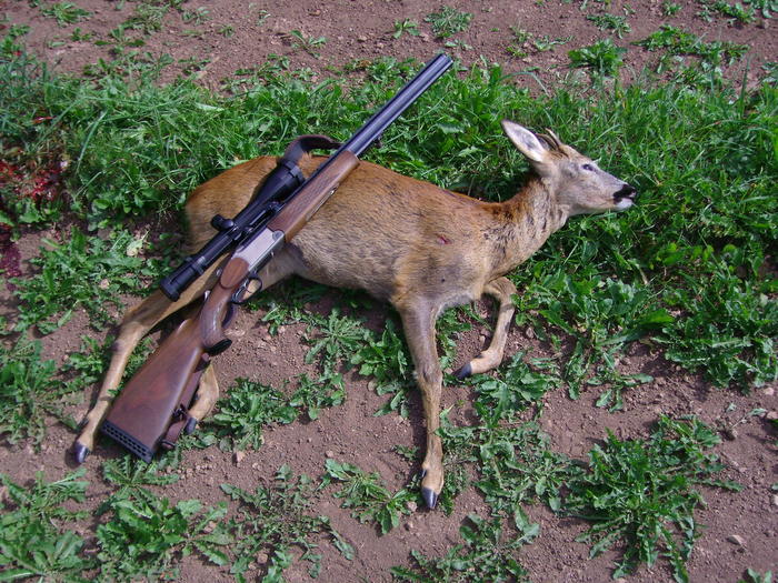 My beautiful picture