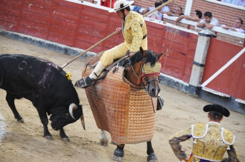 stierkampf-stier-arena-c-JMcArthur-2