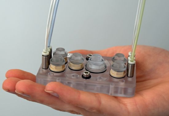 tierfreie forschungpg