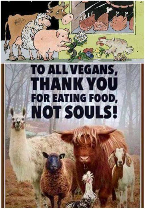 To all vegans...thank you n