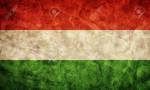 Hungary grunge flag. Item from my vintage, retro flags collection