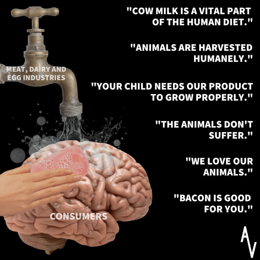 anonymous hiirnwäscherei_o