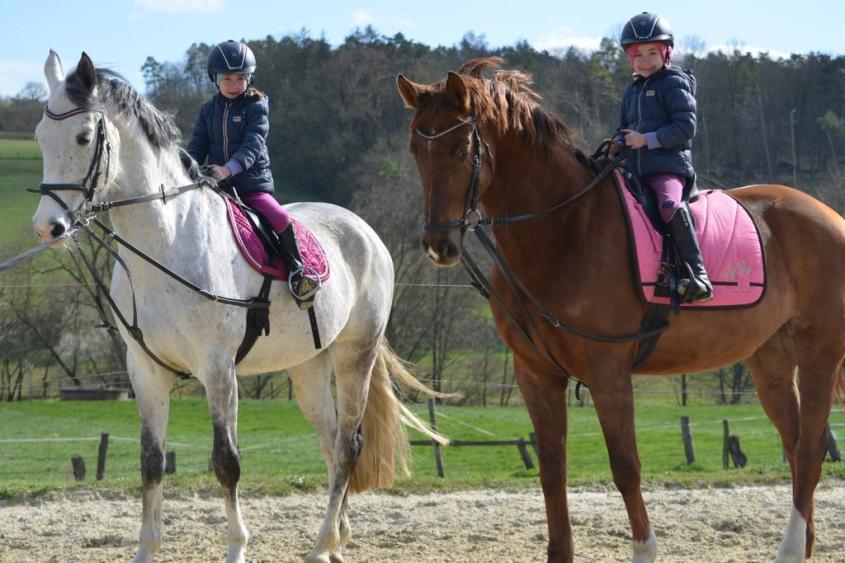 Das-Wohl-der-Pferde-pg