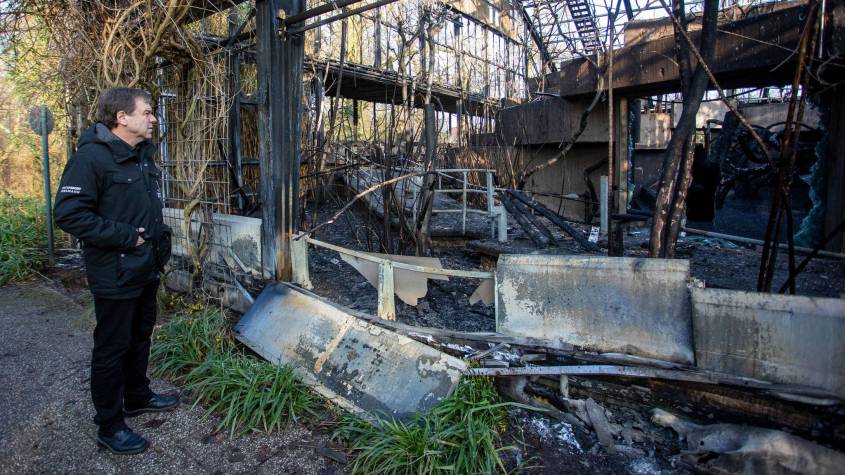 direktor-zoo-krefeld-vor-affen-tropenhaus
