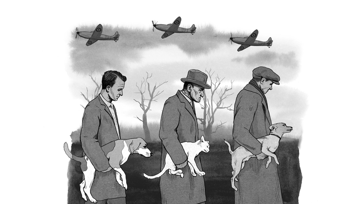 dog and cat massacre 6g