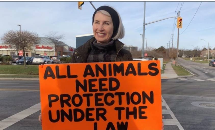 glass walls aktivistin russel tot