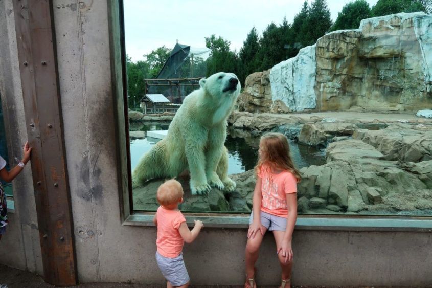 kinder und Polar Bär-Zoojpg