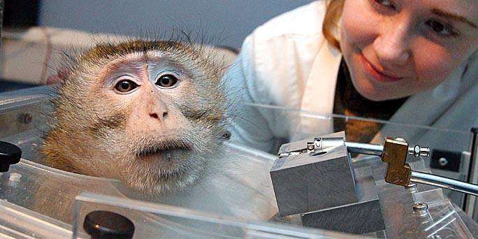 Sadistin Laborfrau mit Affen