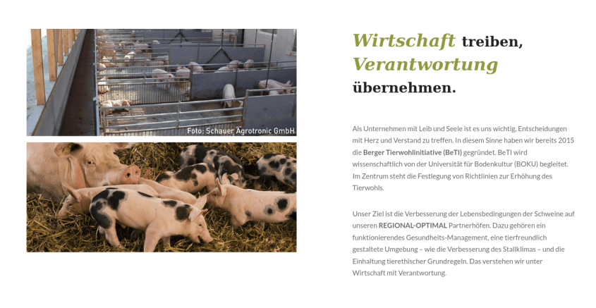 Schweine Im Stroh.Balluch png