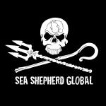 sea shepard logo_n
