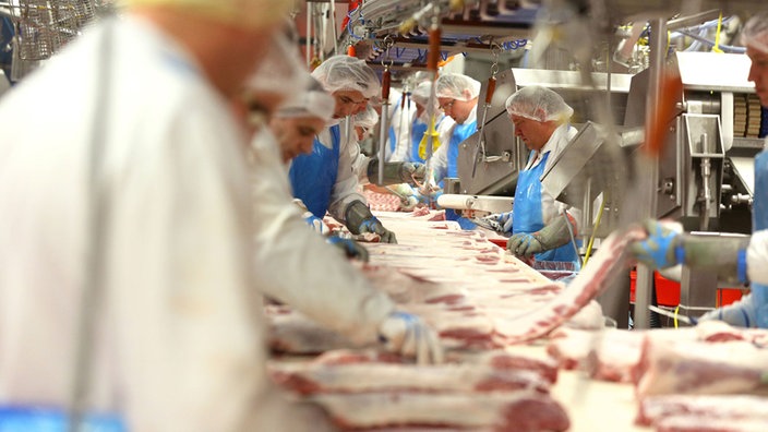 tönnies-rheda-wiedenbrueck-pg