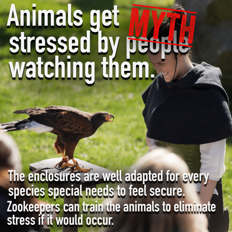 zoo-Myth 3