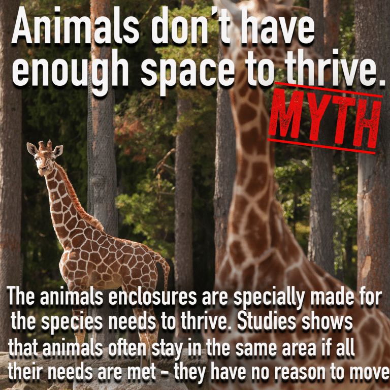 Zoo Myth 4 png