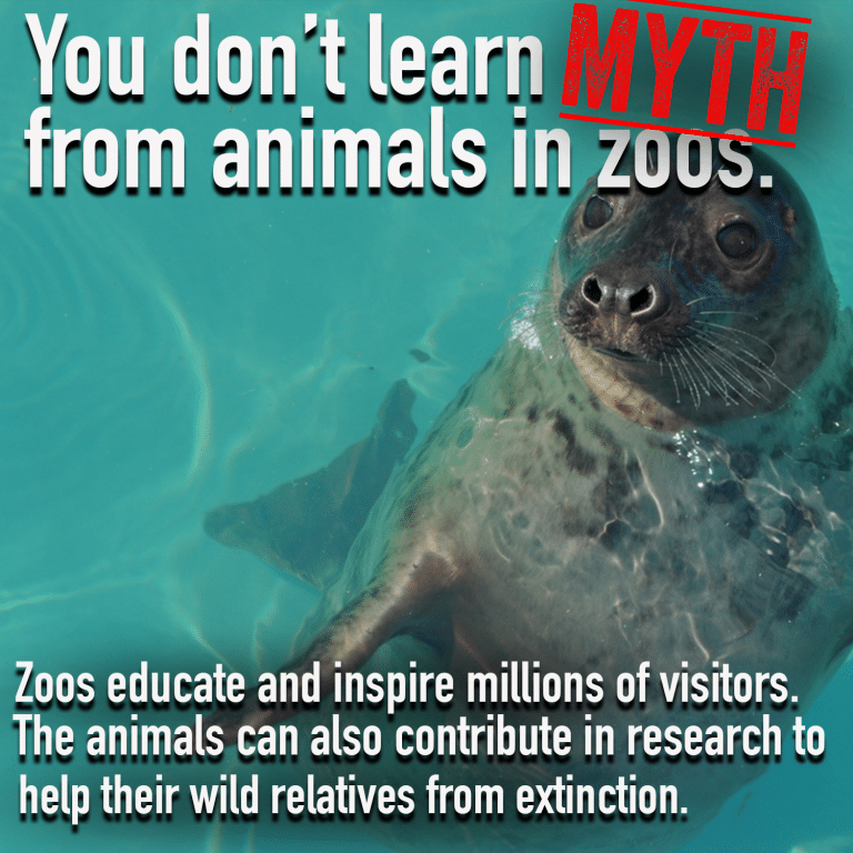 Zoo Myth 5png