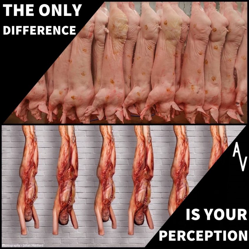 anonymous -hängende schweine o