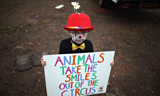 circus no smile