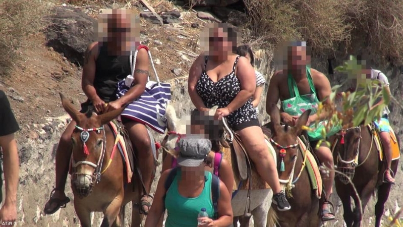 das-elend-der-esel-von-santorini__549938_