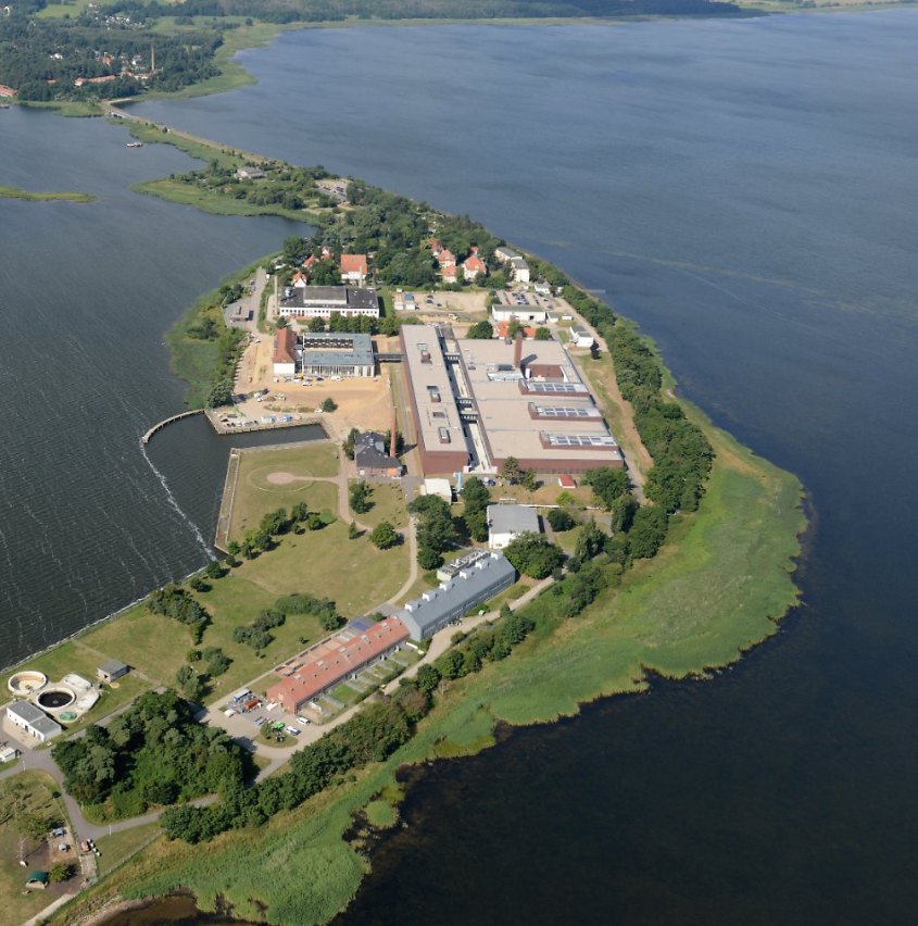 Insel-Riems-im-Greifswalder-Bodden Tierversuche