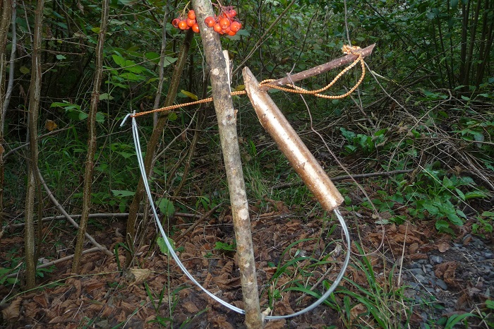 italy_archetto_vofelfallejpg