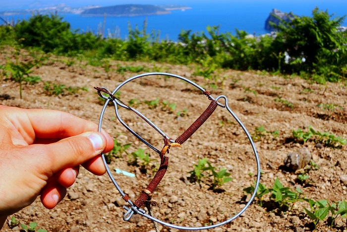 italy_snap_trap_13.Vogelfallen jpg