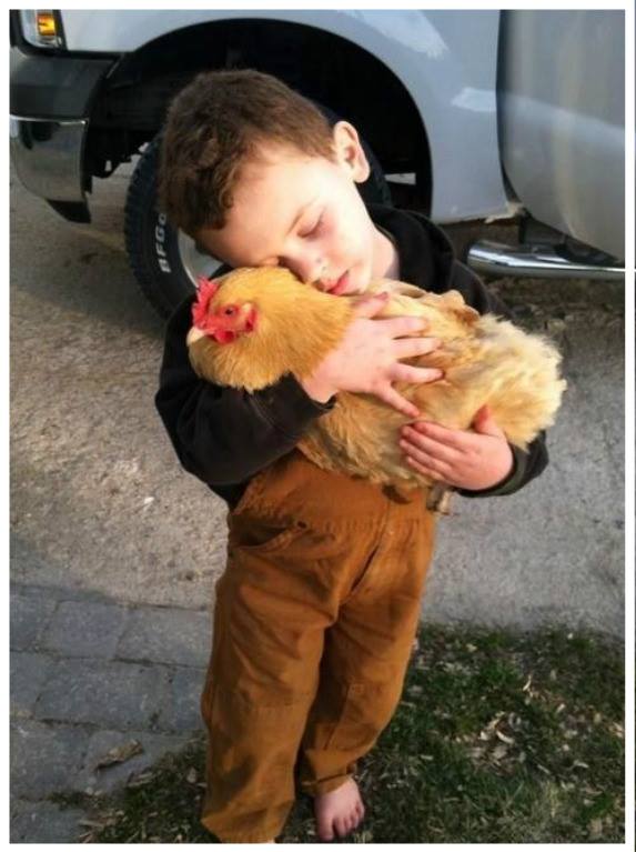 Kind mit Hühner_n