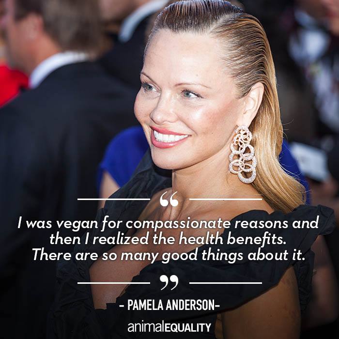Pamela Anderson n