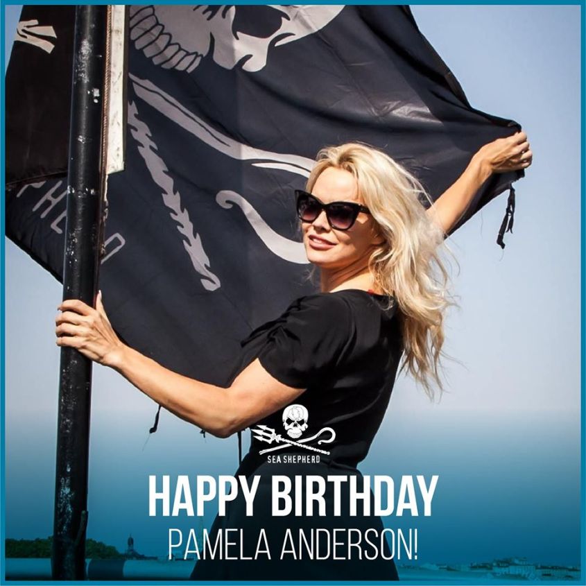Pamela Anderson shea shepard