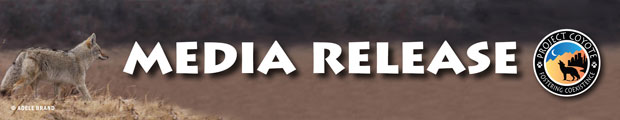proj coyote media release