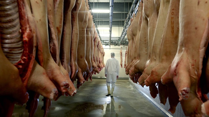 schweine-schlachtung-tönnies100~jpg