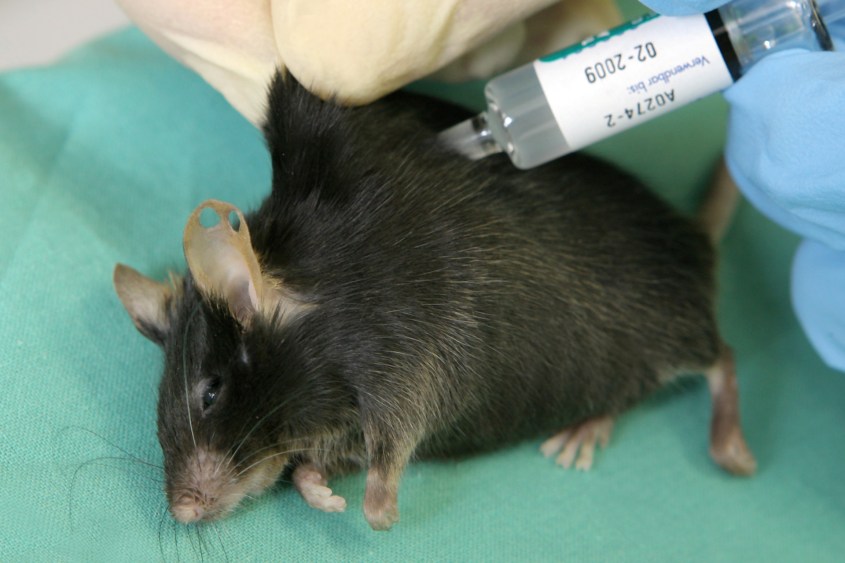 -Tierversuche_master_reference