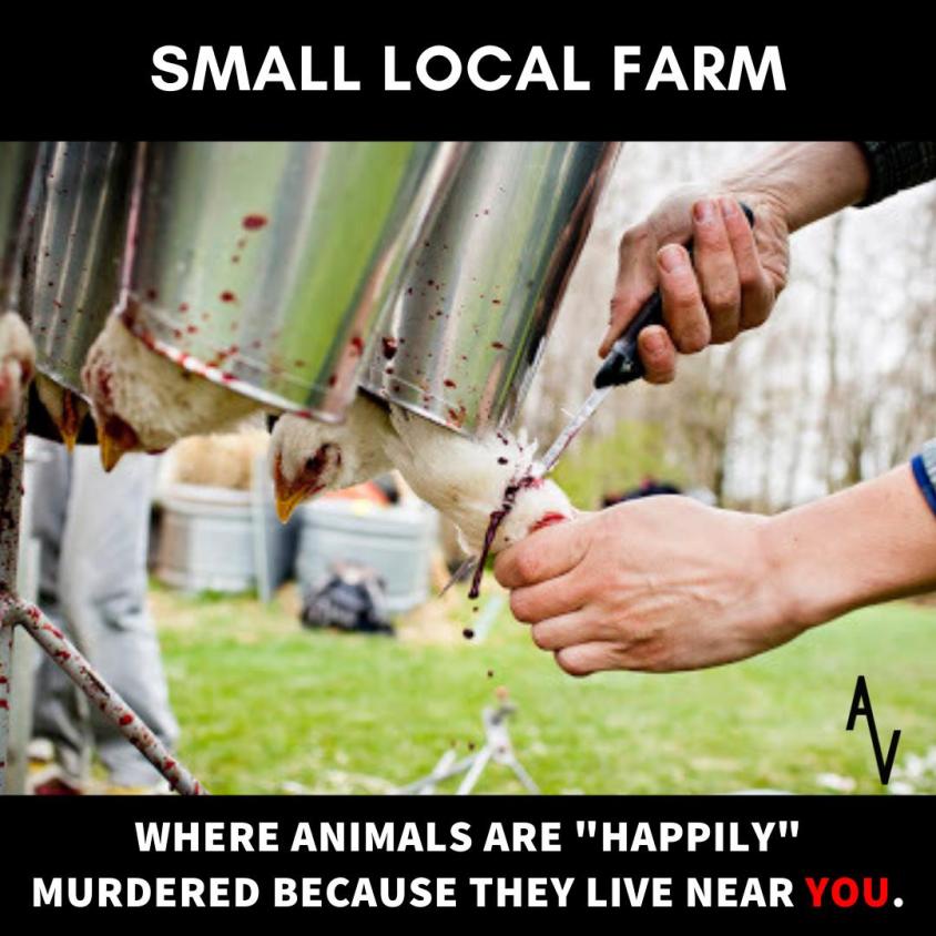 anonymous der kleine bauer nebenan jpg