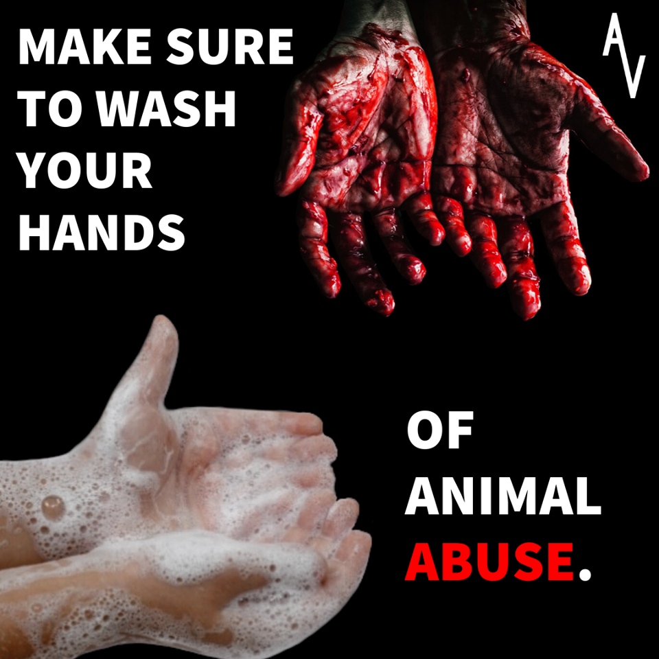 anonymous-toller sloganpng