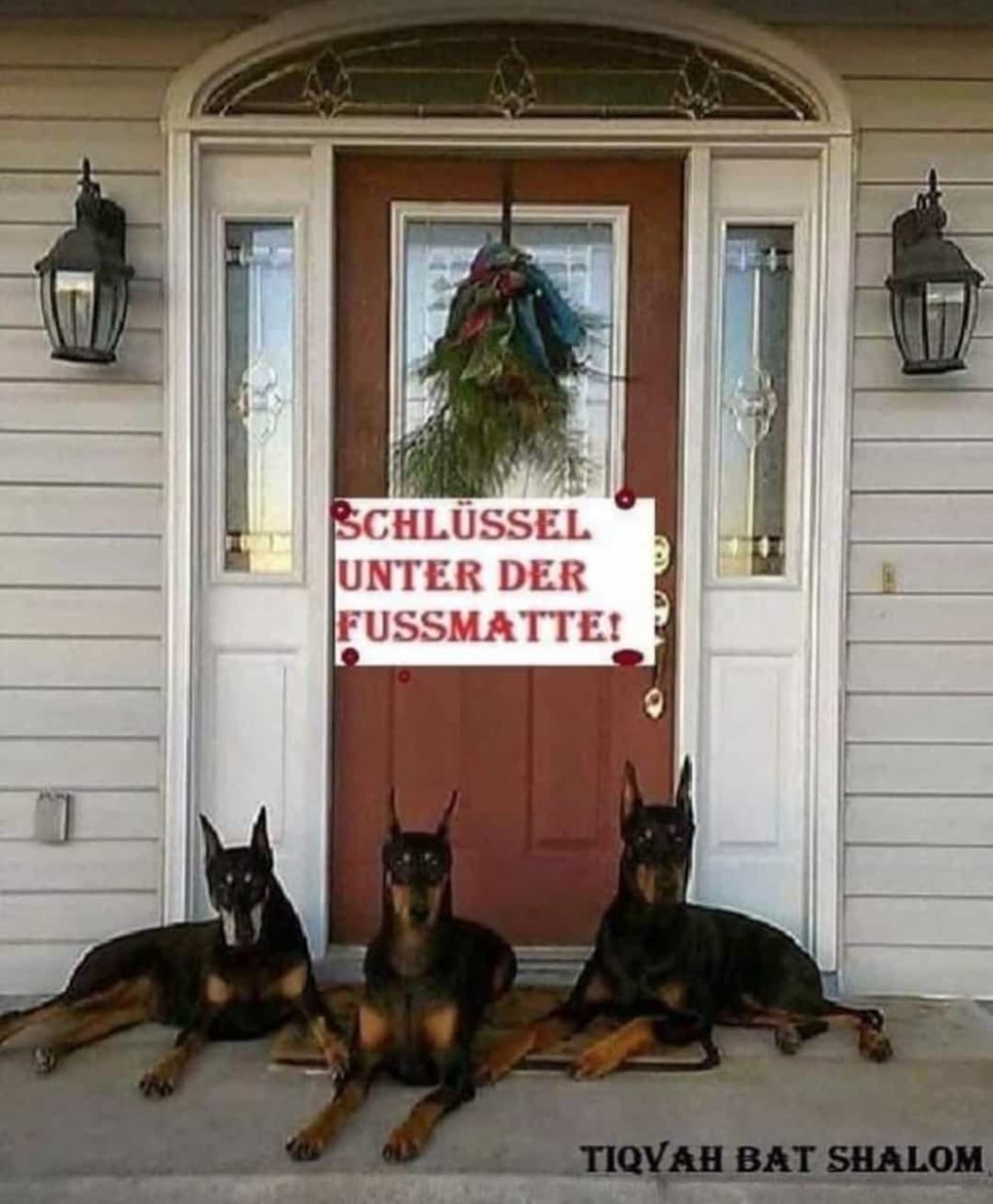 dobermann Karikatur o