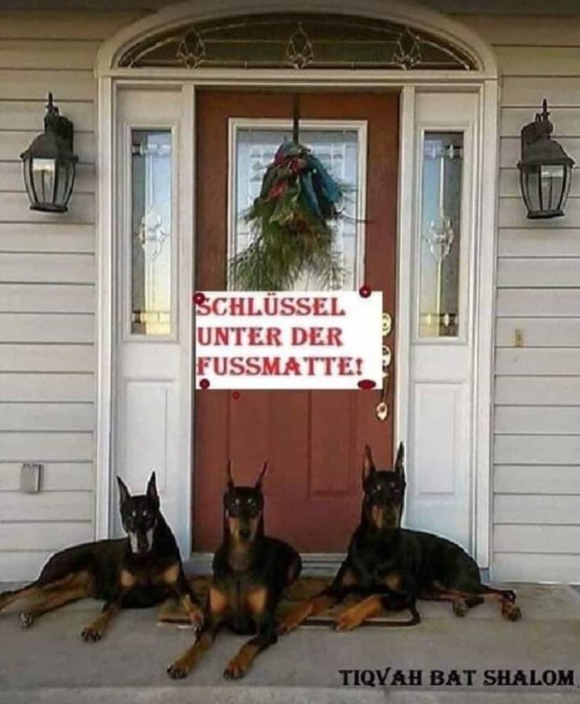 dobermann Karikatur o