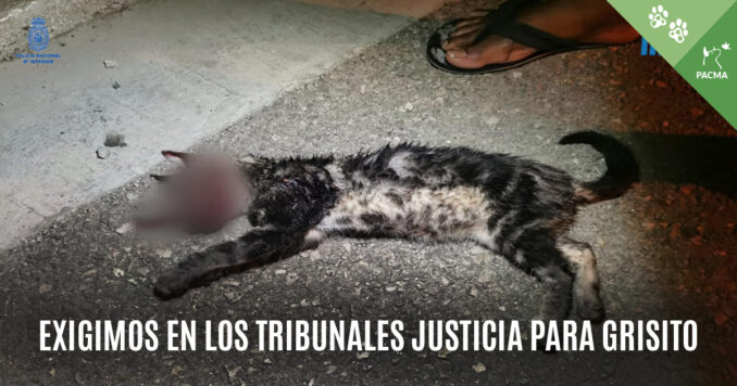 Justicia Para Grisito_