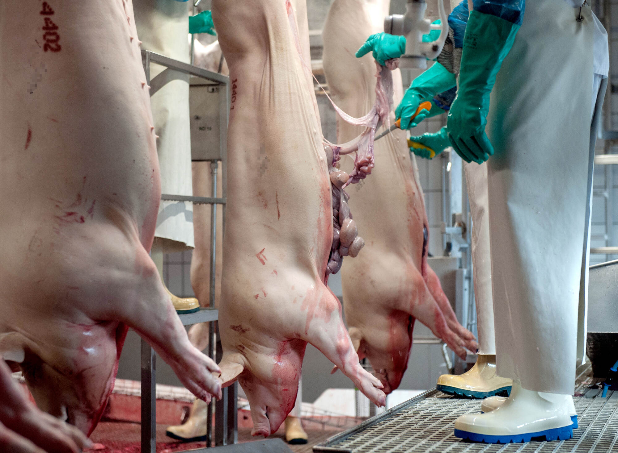 _Schlachthof betrieb_65291592