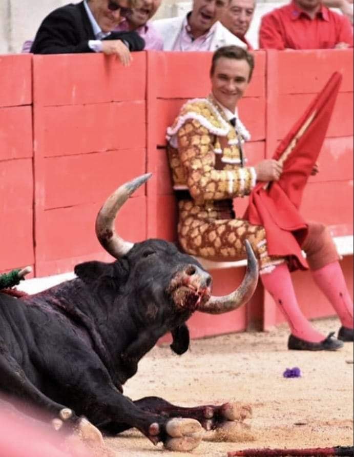 stier mit lachendem Matadorjpg