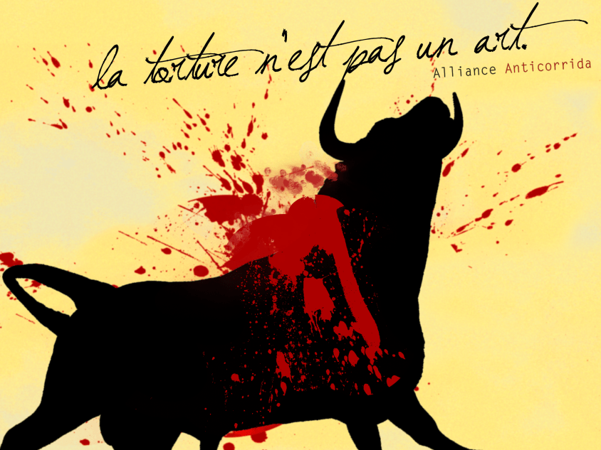 tortura no es cultura stier