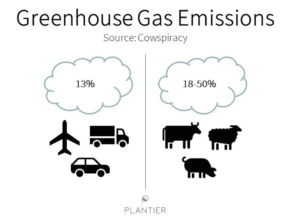 Plant-based and the Environment — Plantier