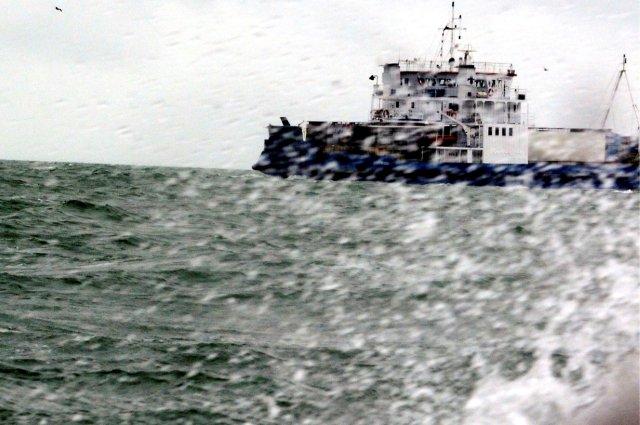 This image has an empty alt attribute; its file name is joline-1.jpg